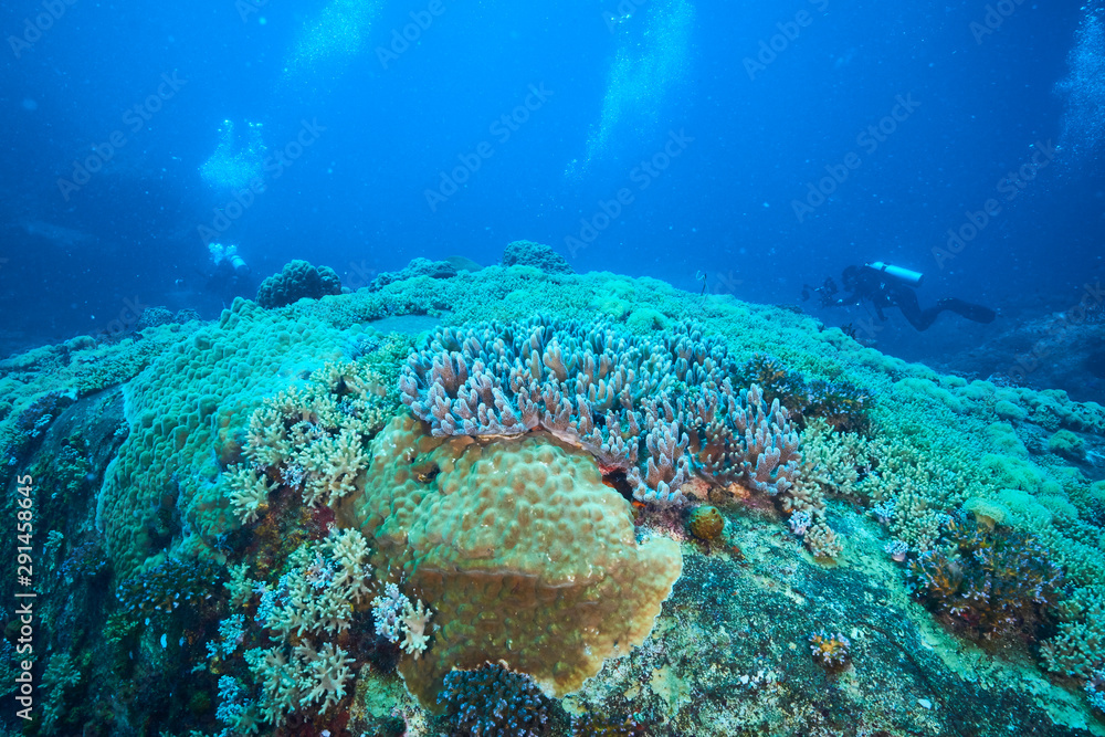 Fototapeta premium Losin south of Thailand 2018