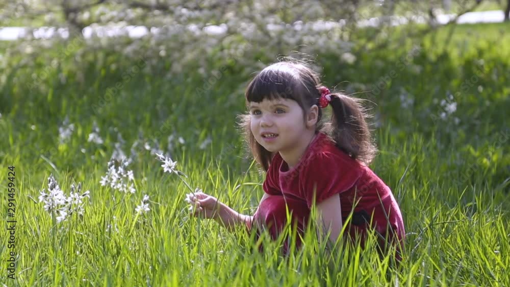 Little girl 4 years in red dress sitting in the meadow on spring sunny day, picking flowers and smiling