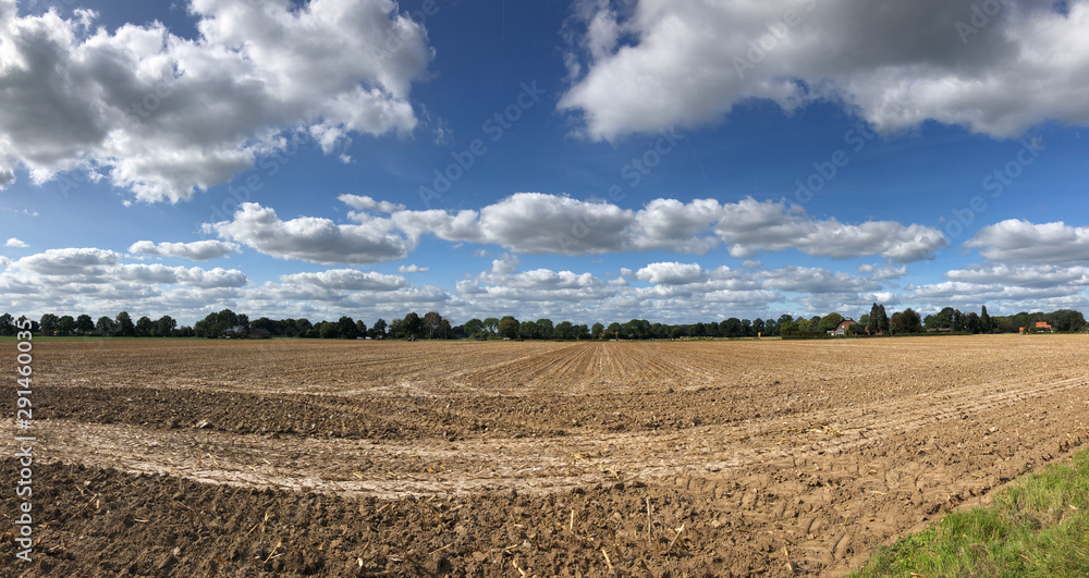 Panoramic scenery from farm land