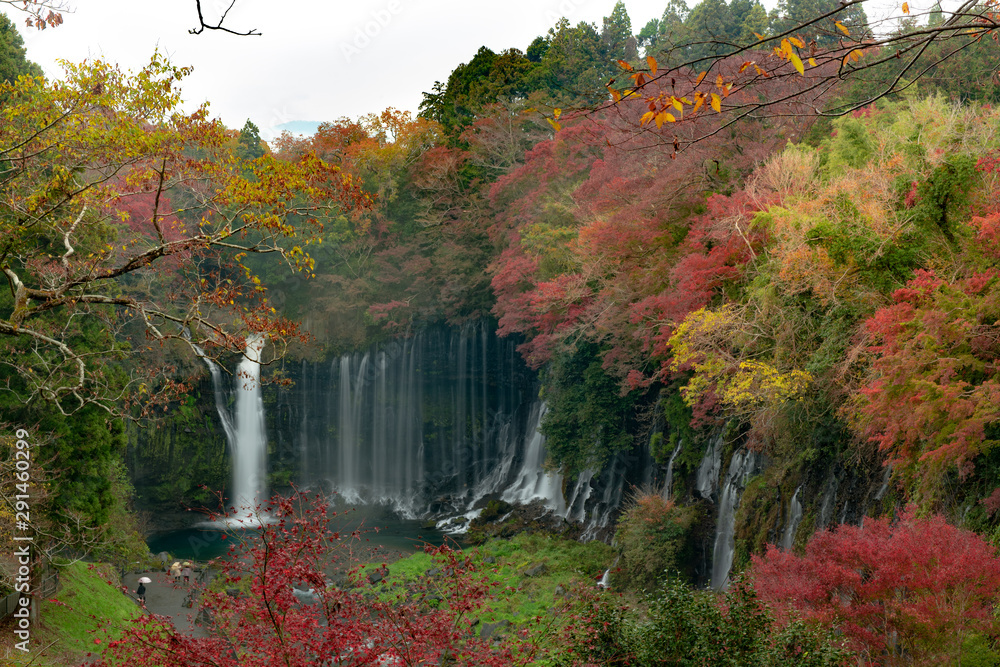 Φωτογραφία Autumn color of yellow and red maple leaves at Shiraito waterfall near Mount Fuji, Shizuoka, Japan
