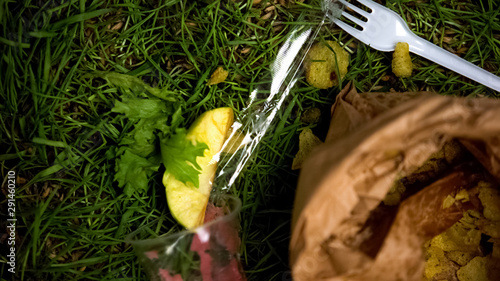 Litter thrown on grass after picnic  nature neglect  environmental pollution