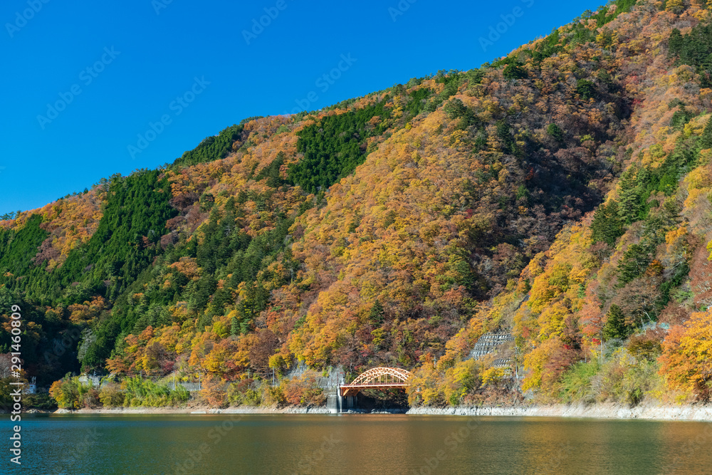Beautiful unseen autumn color around arima dam in Saitama, Japan.