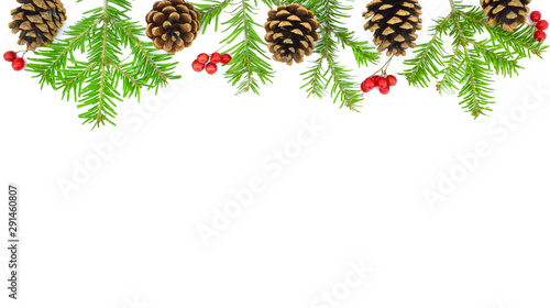 Christmas Border.  Pine cones  fir branches  red berries on white background. New Year concept.