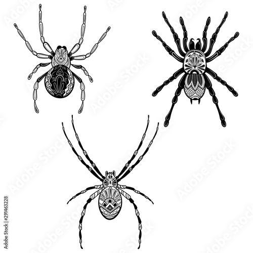 Set of spiders with in zentangle style . Collection of stylized insects with patterns. Black-white illustration of an insect .Tattoo.