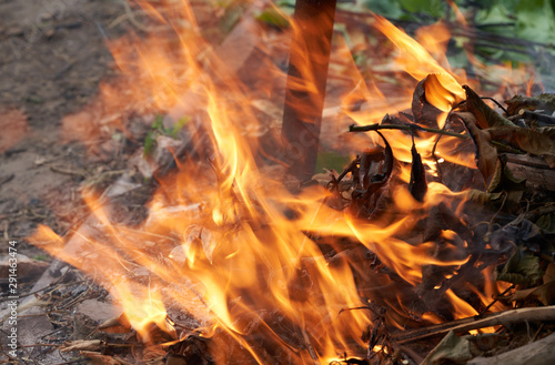 bonfire burns in a meadow, rural landscape