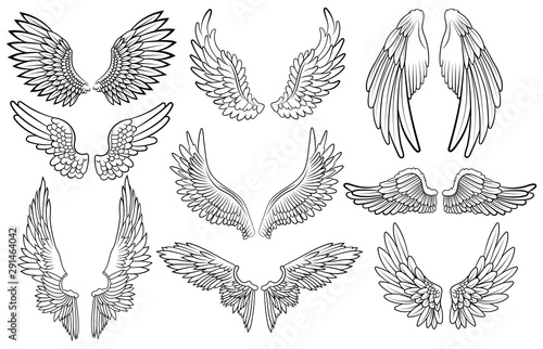 Set of angel wings. Wings collection with feathers. Black white vector illustration. Tattoo.