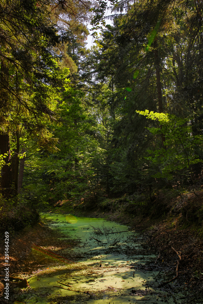 Obraz premium the old town of Husseren les chateaux