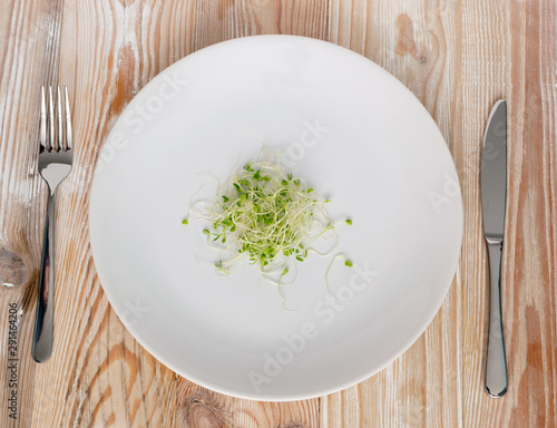 Red Clover Sprouts, Micro Green Healthy Eating Concept photo