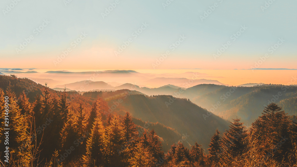 atemberaubendes Panorama von nebliger herbstlicher Landschaft im Schwarzwald - obrazy, fototapety, plakaty 