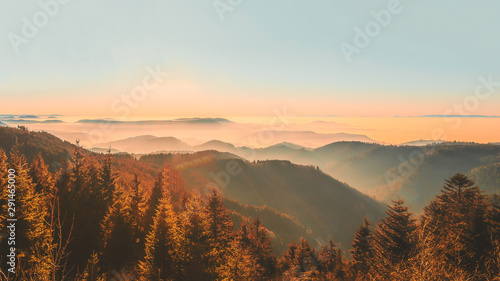 atemberaubendes Panorama von nebliger herbstlicher Landschaft im Schwarzwald