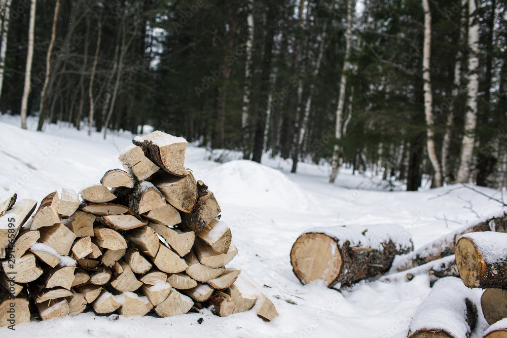Firewood in the snow against the background of the forest Firewood in the snow against the background of the forest