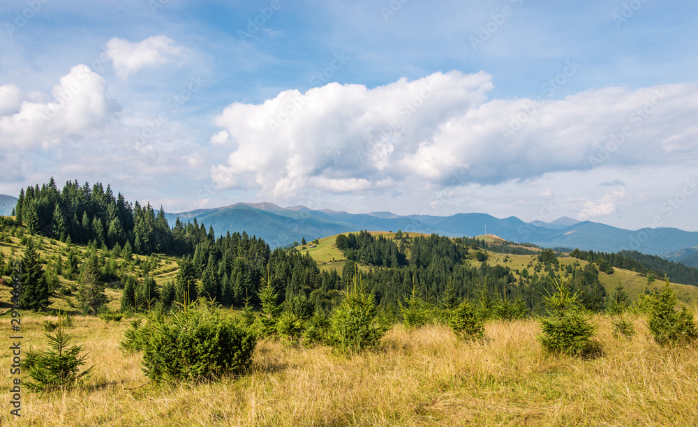 Fototapeta premium Scenery of the Carpathian mountains on a bright September day