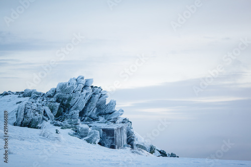 Wallpaper Mural Beautiful snowy winter forest in the mountains Torontodigital.ca
