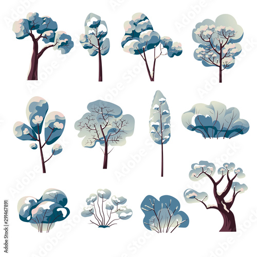 Bare trees and bushes under snow, winter nature