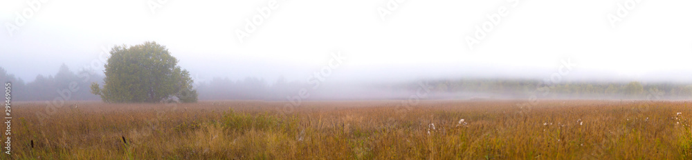 Autumn panorama with field and fog. Rural landscape Autumn panorama with field and fog. Rural landscape