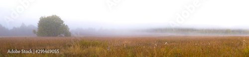 Autumn panorama with field and fog. Rural landscape