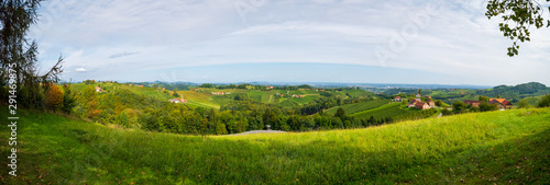 Weinberge in der Südsteiermark, Österreich, im Spätsommer