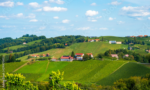 Weinberge in der Südsteiermark, Österreich, im Spätsommer