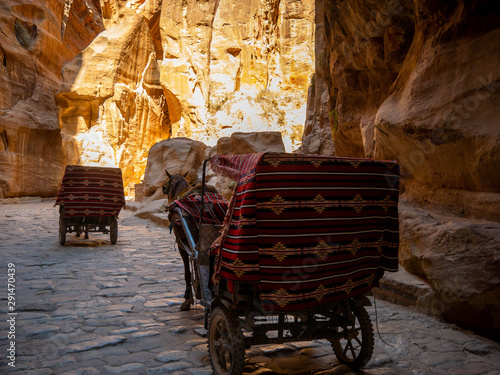 Colorful carriage carried by horses inside a canyon of the historic city of Petra, Jordan