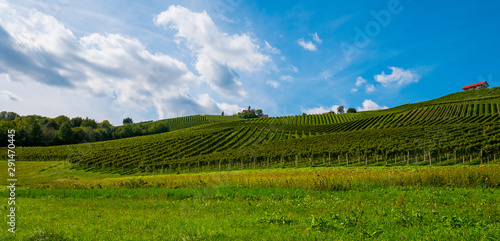 Wallpaper Mural Weinberge in der Südsteiermark, Österreich, im Spätsommer Torontodigital.ca
