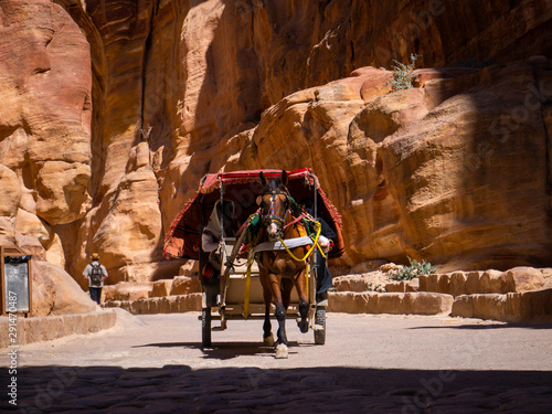 Colorful carriage carried by horses inside a canyon of the historic city of Petra, Jordan