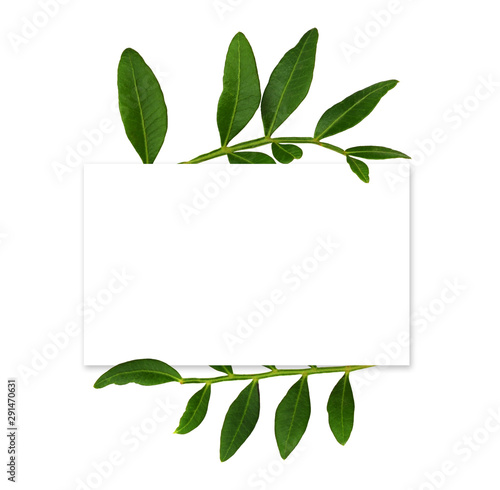 White card with decorative ...