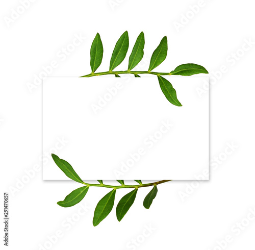 White card with decorative ...