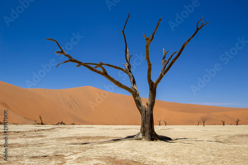 DEATH VALLEY DEADVLEI NAMIBIA african nature at its best