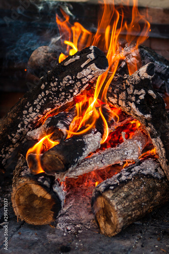 FIRE BURNING TREE TRUNKS