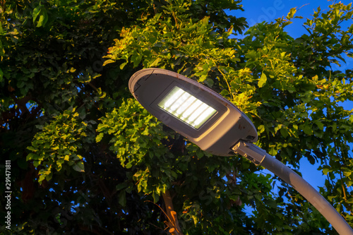 Street LED lighting in the garden, iron pole. photo