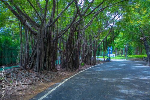 chatuchak railway park is a place to relax and exerise with large trees to shap photo