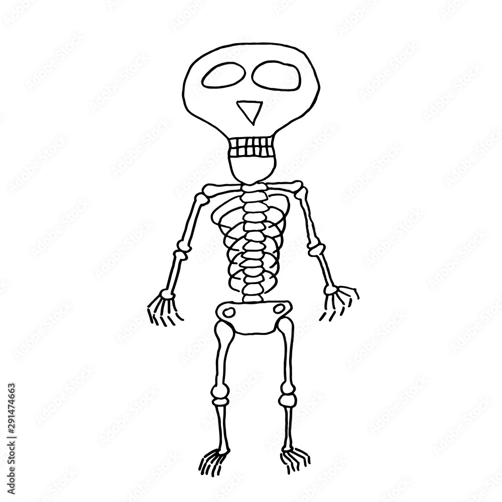 Funny cartoon hand drawn skeleton illustration. Doodle vector skeleton ...