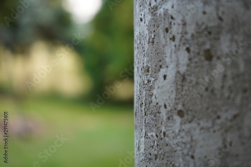 Fototapeta Naklejka Na Ścianę i Meble -  słup betonowy w ogrodzie