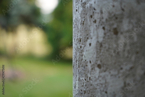 Fototapeta Naklejka Na Ścianę i Meble -  słup betonowy w ogrodzie