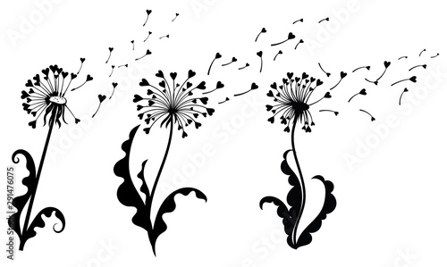 Set of dandelions with hearts. Collection of dandelion silhouettes with flying seeds. Black white vector illustration of summer flower. Tattoo plants.