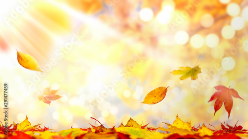 Autumn landscape with sunlight bokeh