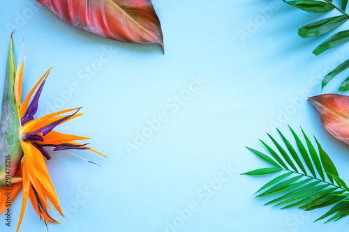 Background of tropical flowers, strelitzia and palm leaves. Place for text. Flat lay. Summer concept.