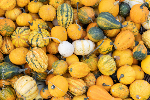 A large pile of decorative pumpkins of various shapes and colors