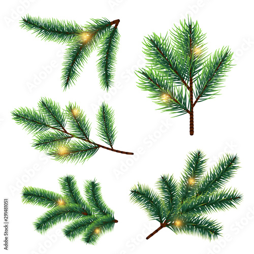 Fir tree branches with lights vector isolated on white background. Branch tree to christmas, light fir greeting and festive illustration