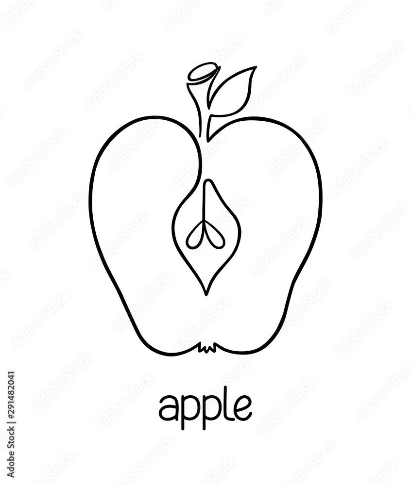Apple drawing in one continuous line Apple drawing in one continuous line