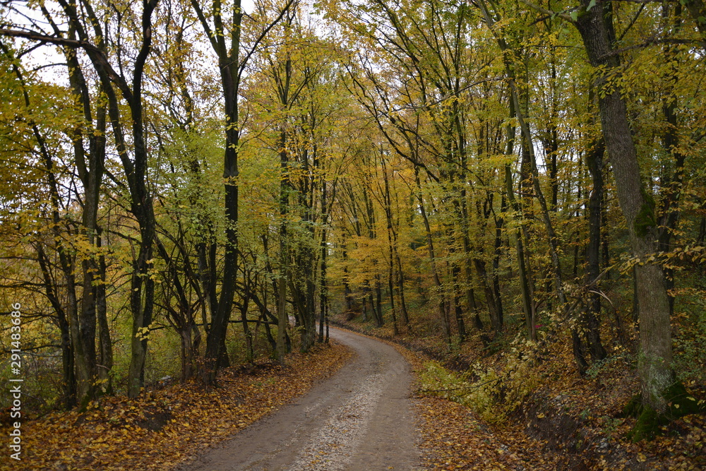 Fototapeta premium In love with autumn colors