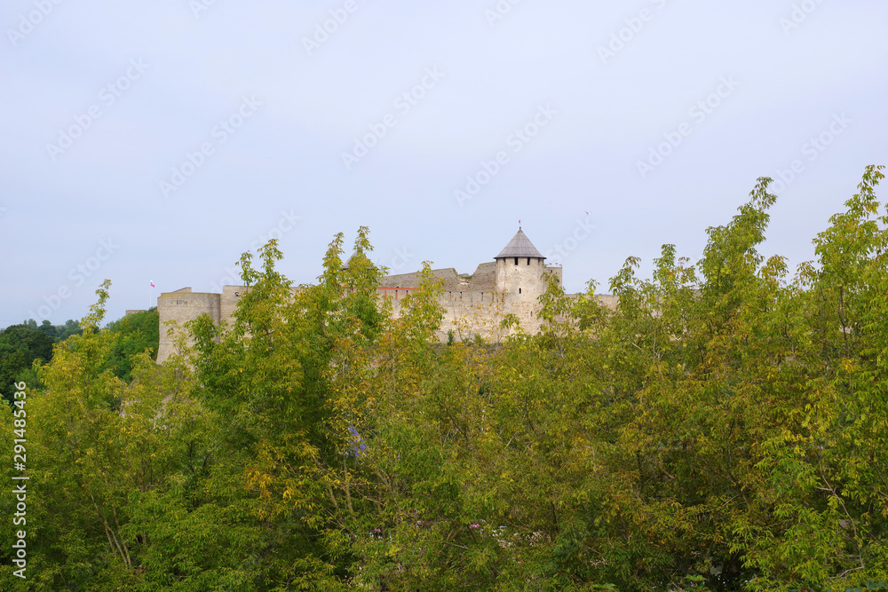 Fortresse d'Ivangorod entre les branchages