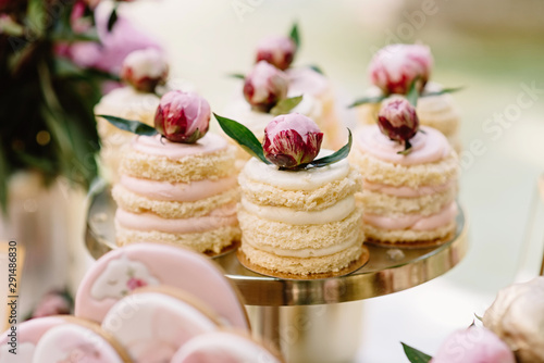 Cakes with natural cream, berries and air biscuit stand on a golden stand © Olga