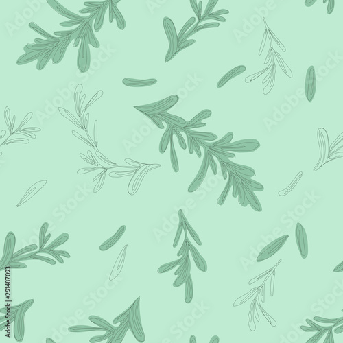 Seamless pattern hand drawn herb rosemary. Leaves and branches of rosemary. Herbs for packaging design  cards  postcards and book illustrations.