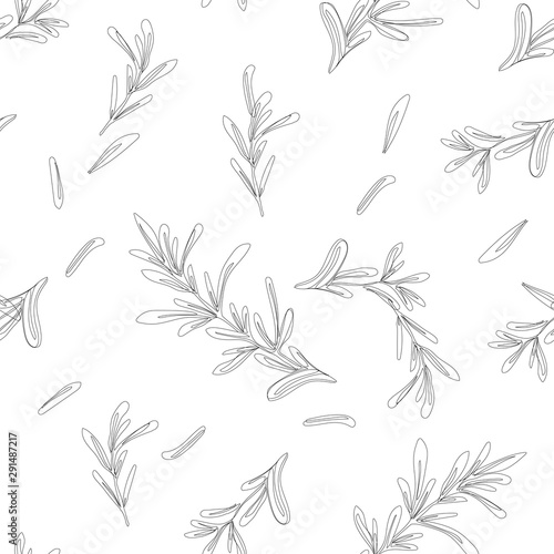 Fototapeta Naklejka Na Ścianę i Meble -  Seamless pattern with rosemary on white, background of spices, wallpaper with rosemary branches