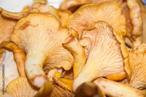 a lot of mushrooms chanterelle lies on a yellow plate