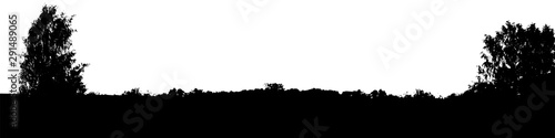Black tree forest panorama silhouette. Card with copy space. Isolated on white background. Vector nature illustration