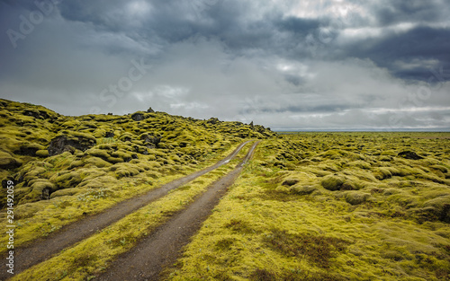 Typical landscape of Iceland. Dirt road and noss. photo