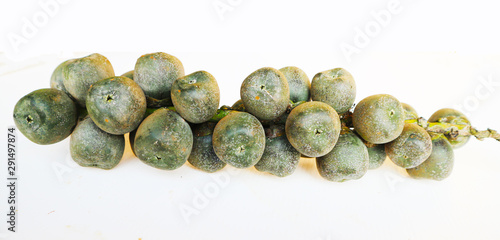Arenga pinnata is an economically important hairy palm originated in tropical Asia, often made into sweet fur.