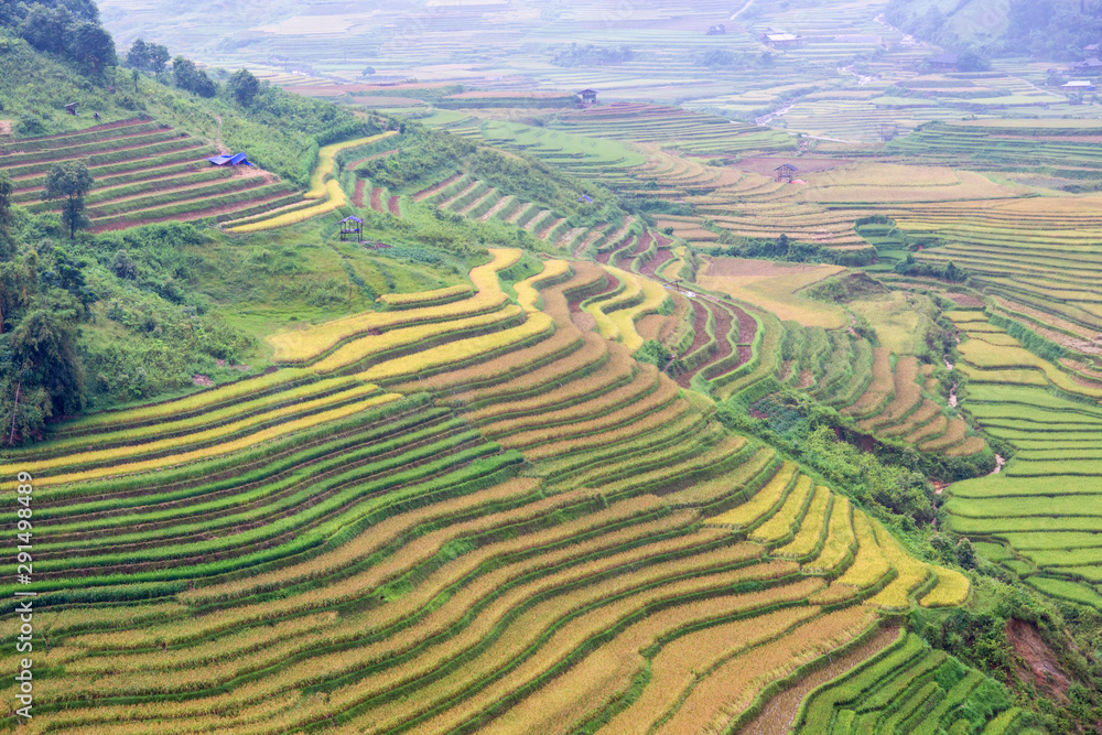 Green terraces rice field at Mu Cang Chai